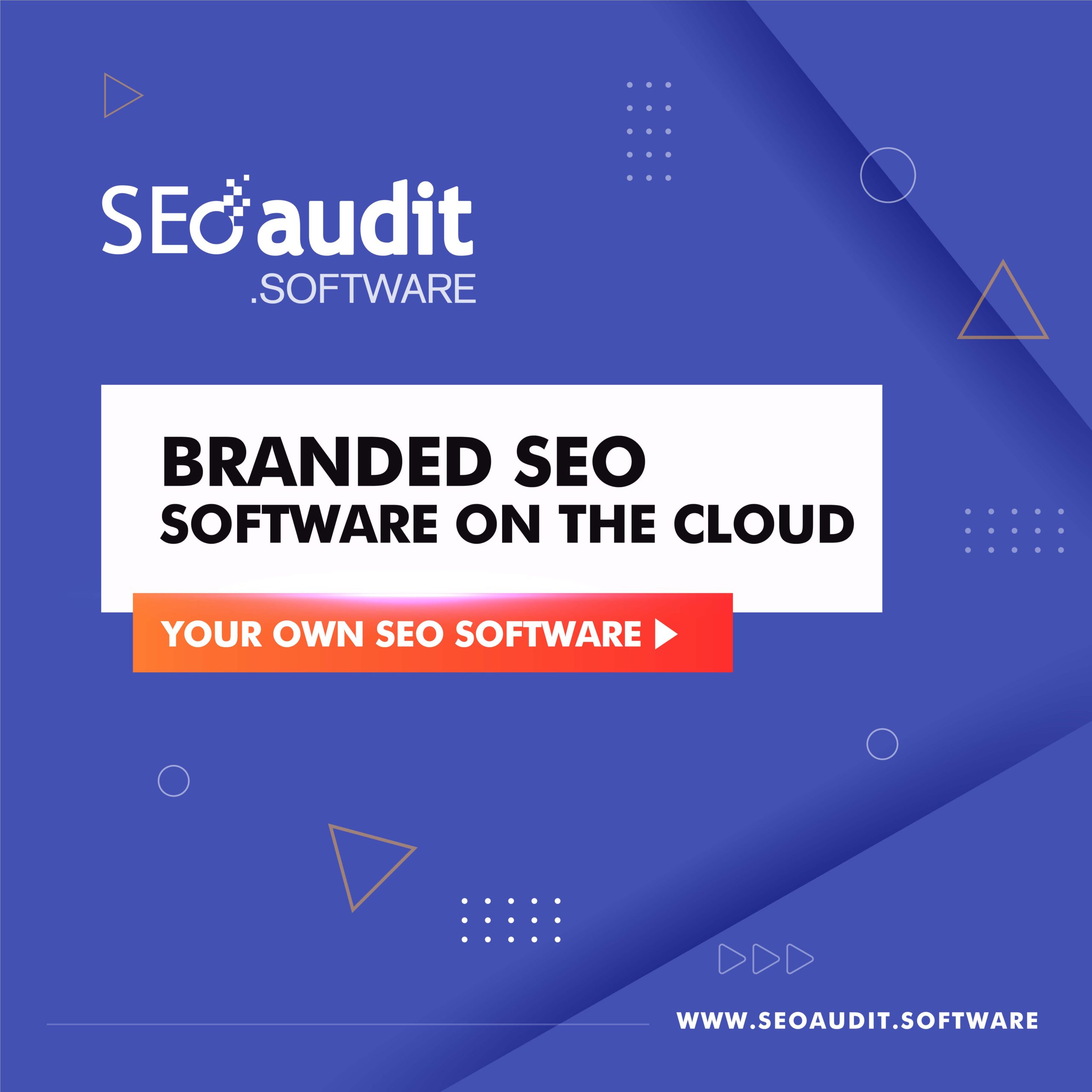branded-seo-audit-software