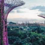 Photo by Annie Spratt on Unsplash