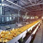 From Field To Market: Essential Equipment For Agricultural Processing Startups